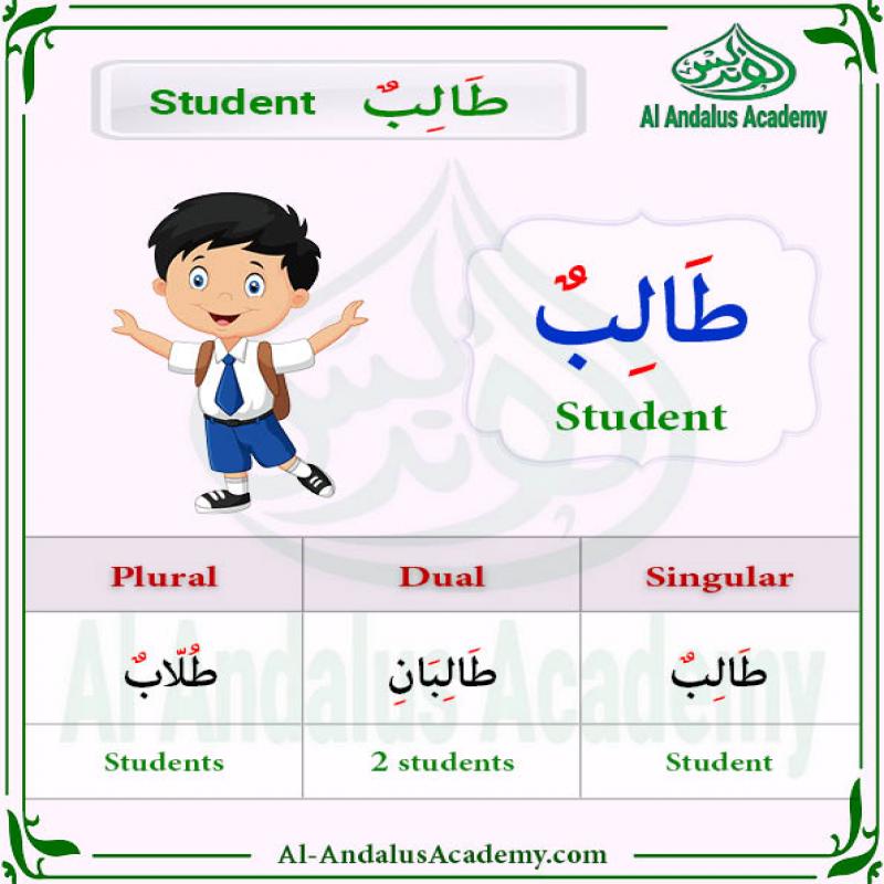 Arabic online classes for girls and ladies