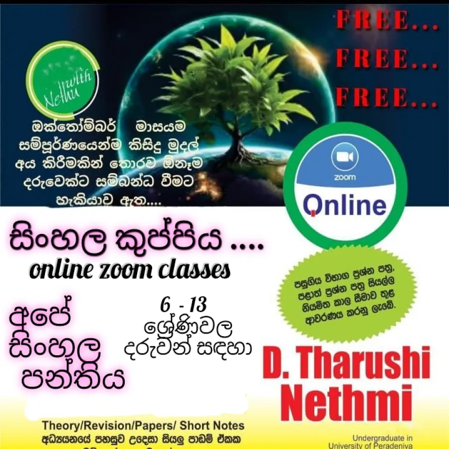 Online zoom classes