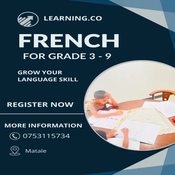 Master French Online with Ease! 