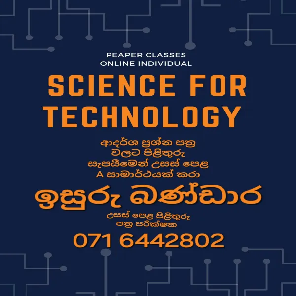 SFT classes online individual