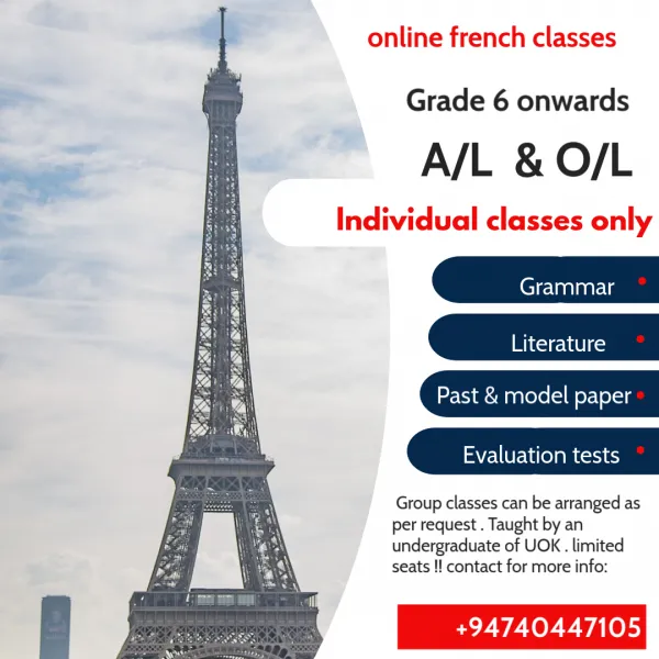 online french classes
