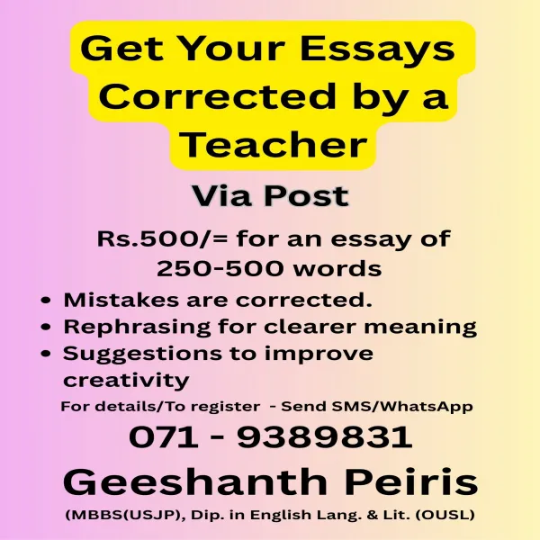 Get Your Essays Corrected by a Teacher