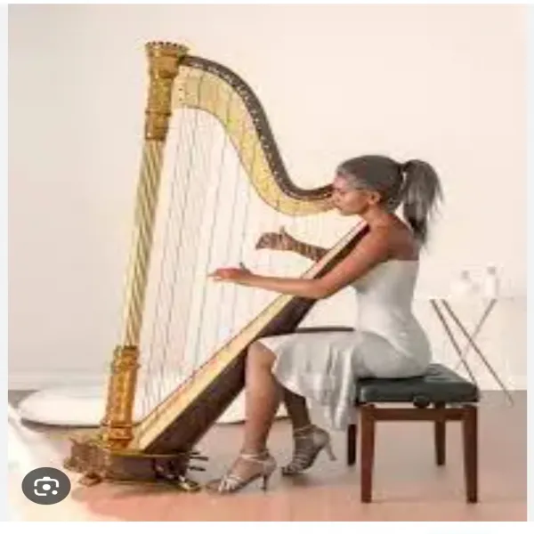 Western Music classes
