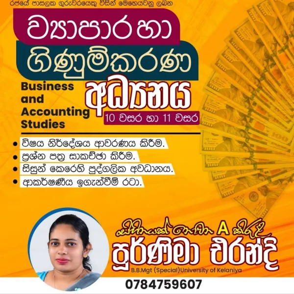 Businesses and Accounting Studies