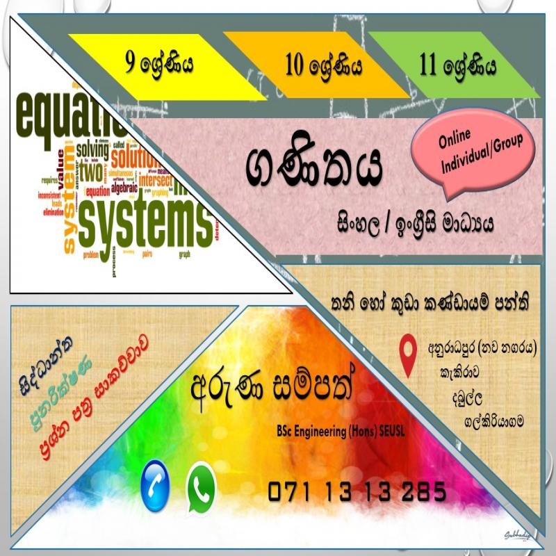 Grade 9, 10 , 11 maths class (Online/individual/Group)