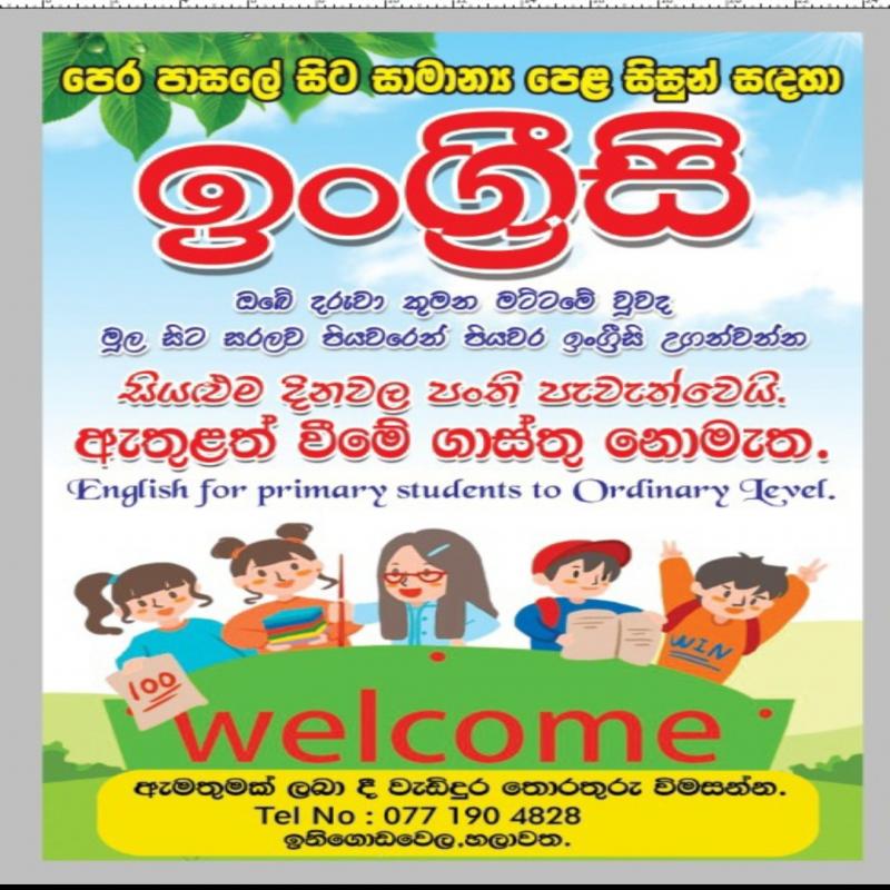 Online English classes all island